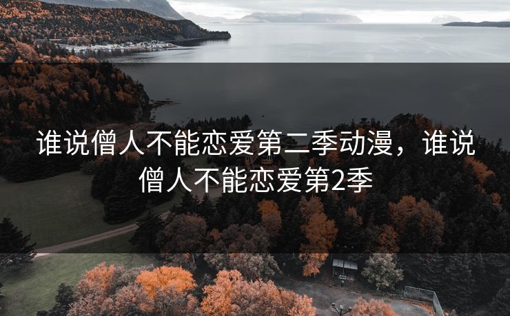 谁说僧人不能恋爱第二季动漫，谁说僧人不能恋爱第2季