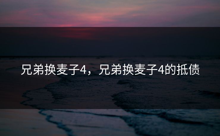 兄弟换麦子4，兄弟换麦子4的抵债  第1张