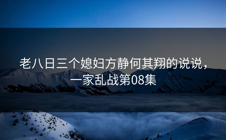 老八日三个媳妇方静何其翔的说说，一家乱战第08集