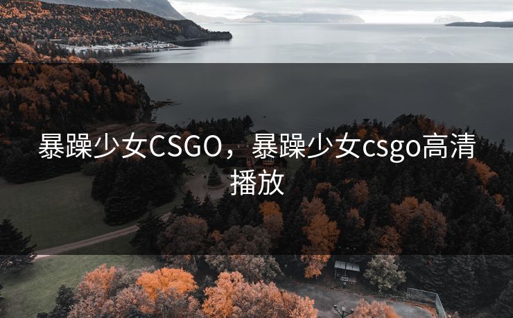暴躁少女CSGO，暴躁少女csgo高清播放  第1张