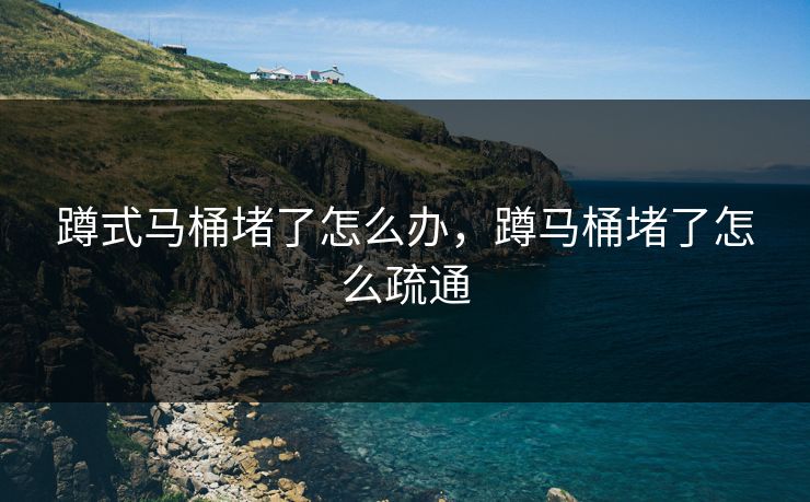 蹲式马桶堵了怎么办，蹲马桶堵了怎么疏通  第1张