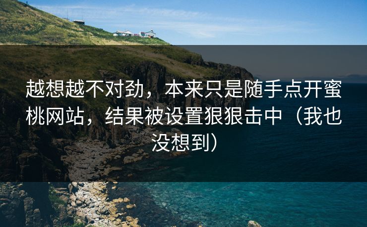 越想越不对劲，本来只是随手点开蜜桃网站，结果被设置狠狠击中（我也没想到）
